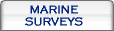 Marine Surveys